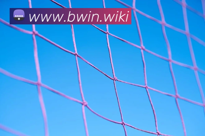 bwin必赢服务体系